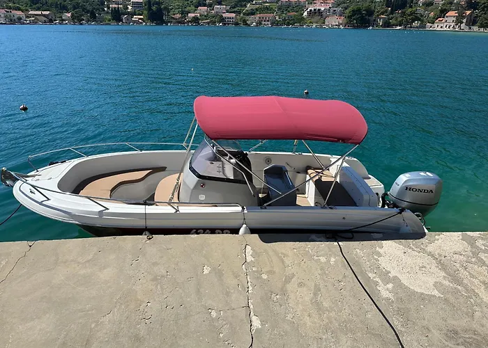 Seagull - Waterfont With Sunbeds! Unique * Zaton (Dubrovnik-Neretva)