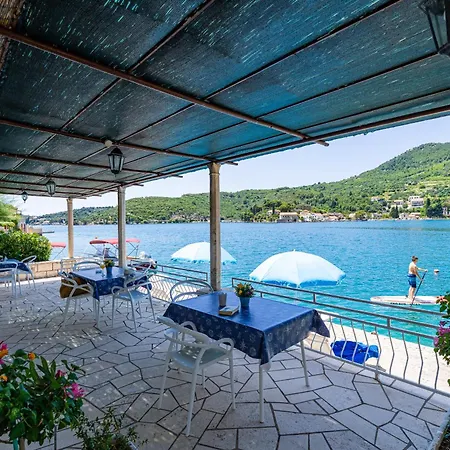 Lejlighed Seagull - Waterfont With Sunbeds! Unique Zaton (Dubrovnik-Neretva)